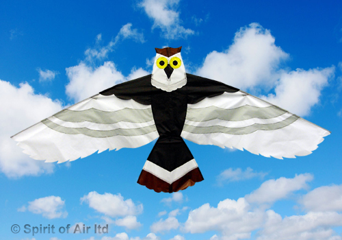Spirit Of Air, Owl, Single Line Kite
