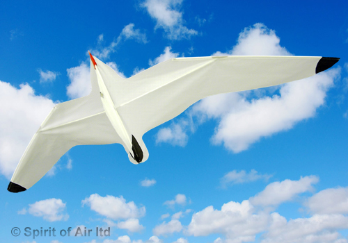 Spirit Of Air, Seagull Kite
