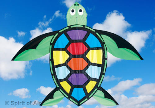 Spirit Of Air, Terry Turtle