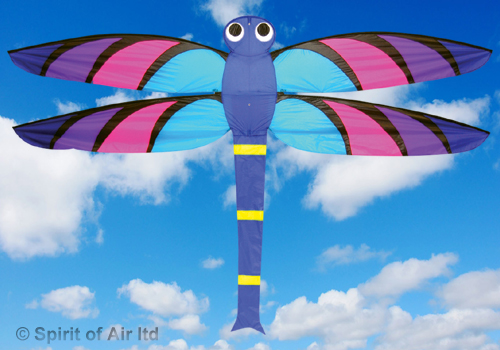 Spirit Of Air, Giant Dragonfly, Single Line Kite