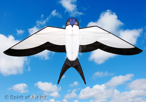 Spirit Of Air, Swallow