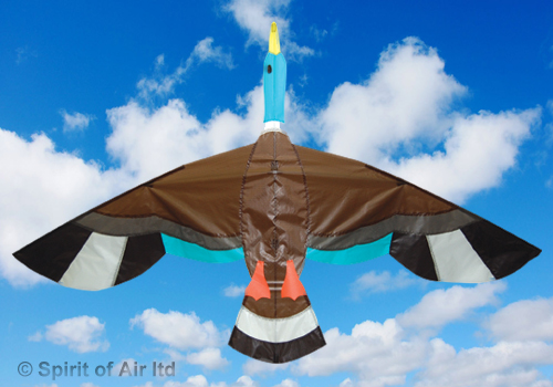 Spirit Of Air, Duck Kite