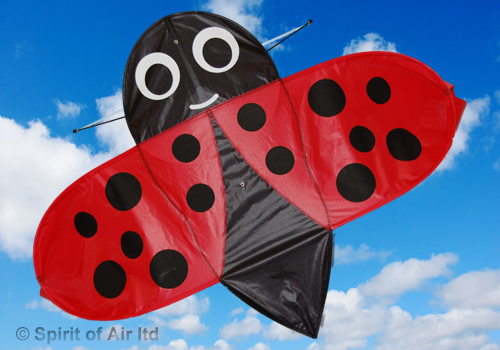 Spirit Of Air, Buzzer Bug, Single Line Kite
