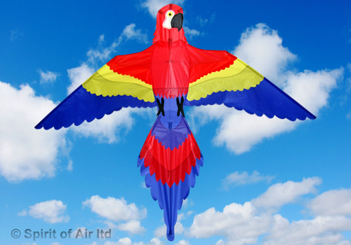 Spirit Of Air, Parrot, Single Line Kite