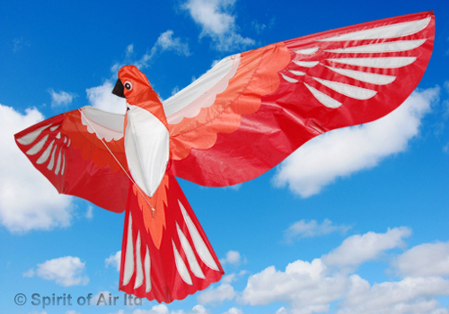 Spirit of Air - 3D Phoenix Bird