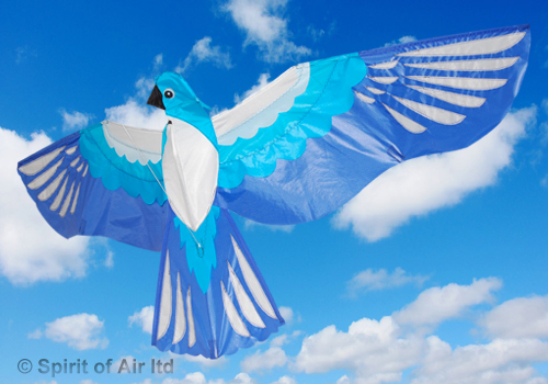 Spirit of Air - 3D Blue Bird