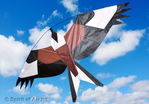 Spirit of Air, Red Kite