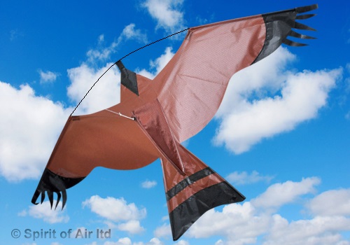 Spirit of Air, Hawk