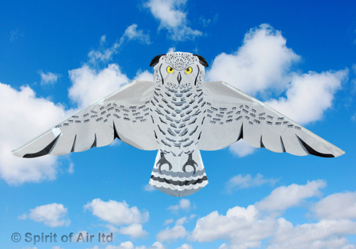 Spirit of Air, Snowy Owl