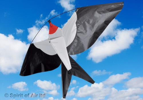 Spirit of Air - Junior Swallow