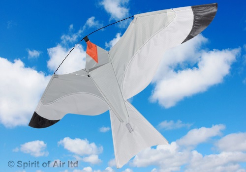 Spirit of Air - Gull