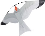 Spirit of Air, Gull