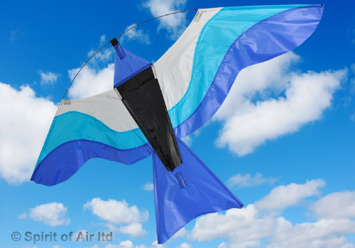 Spirit of Air - Colourful Birds - Blue