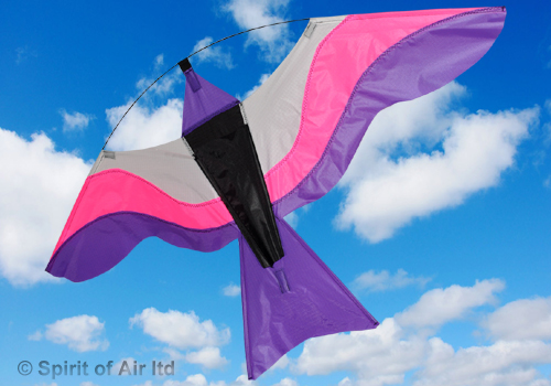 Spirit of Air - Colourful Birds - Pink