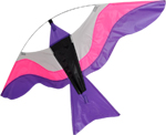 Spirit of Air - Colourful Birds - Pink