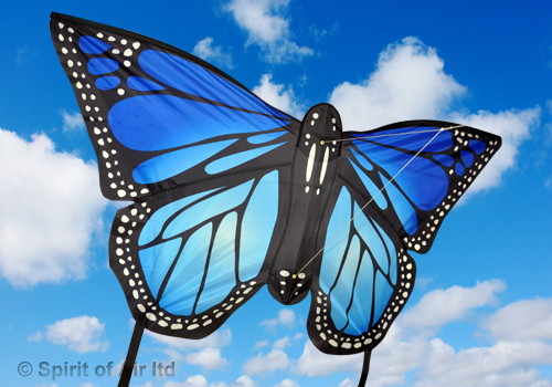 Spirit Of Air, Large Monarch Butterfly - Blue, Single Line Kite