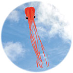 Spirit of Air - Octofoil - Neon Orange