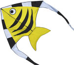 Spirit of Air - Aqua Flyer - Yellow