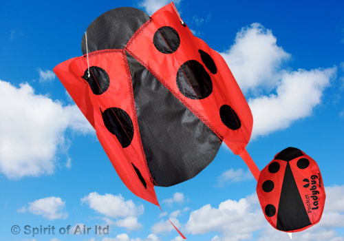 Spirit of Air - Pocket Bugs - Ladybug