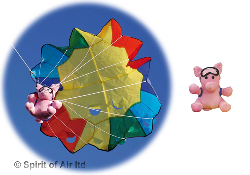 Spirit of Air - Parachute Pig