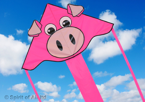 Spirit Of Air, Super Flyer - Pig, Single Line Kite