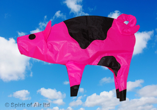 Spirit of Air, Pig Windsock