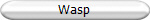 Wasp